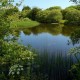 Ponds