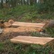 Tree Surgery